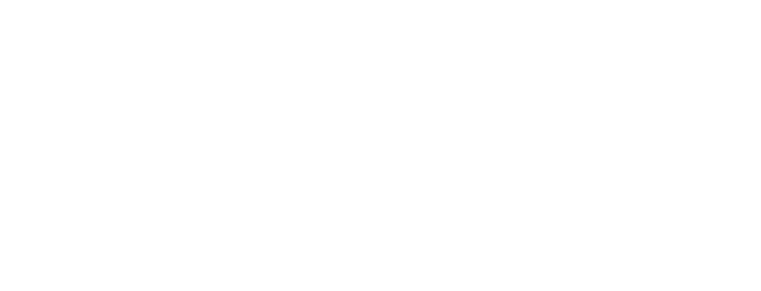 CAVU Aerospace